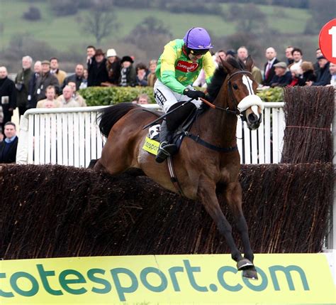cheltenham festival 2020|most cheltenham festival winners.